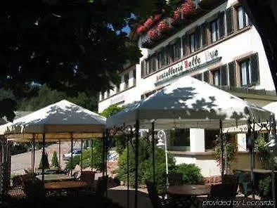 Hotel Logis Belle-vue Wangenbourg-Engenthal