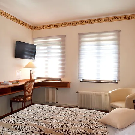 Belle-vue Hotel Wangenbourg-Engenthal