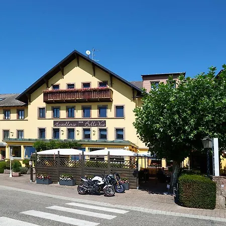 Hotel Belle-vue Wangenbourg-Engenthal