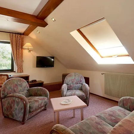 Belle-vue Hotel Wangenbourg-Engenthal